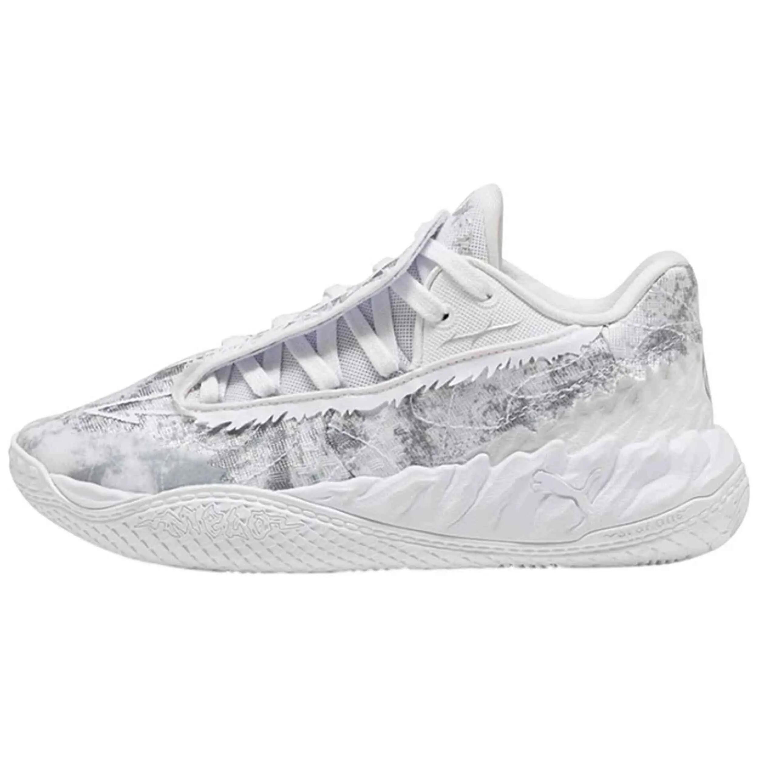 PUMA picture