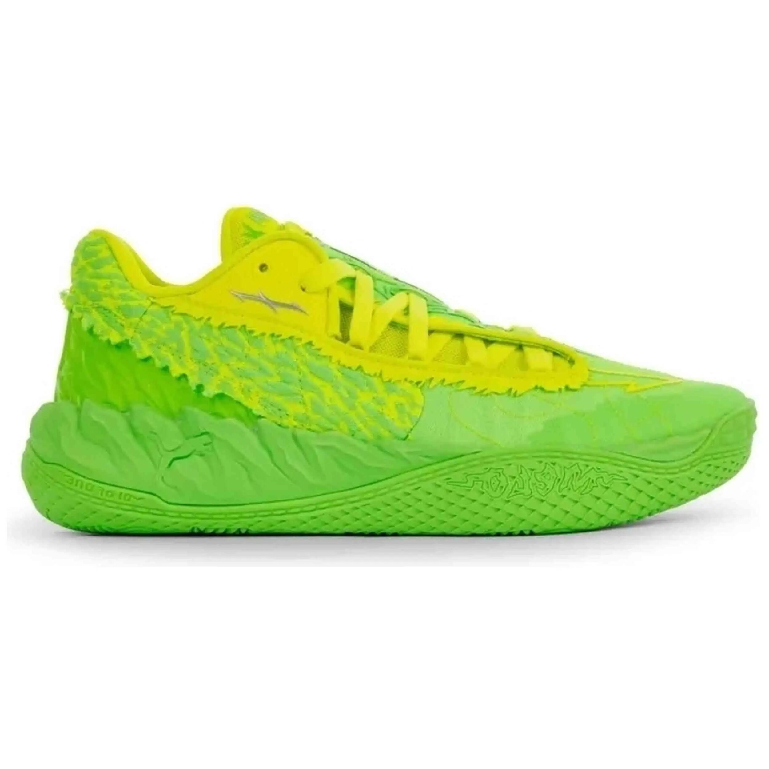 PUMA picture