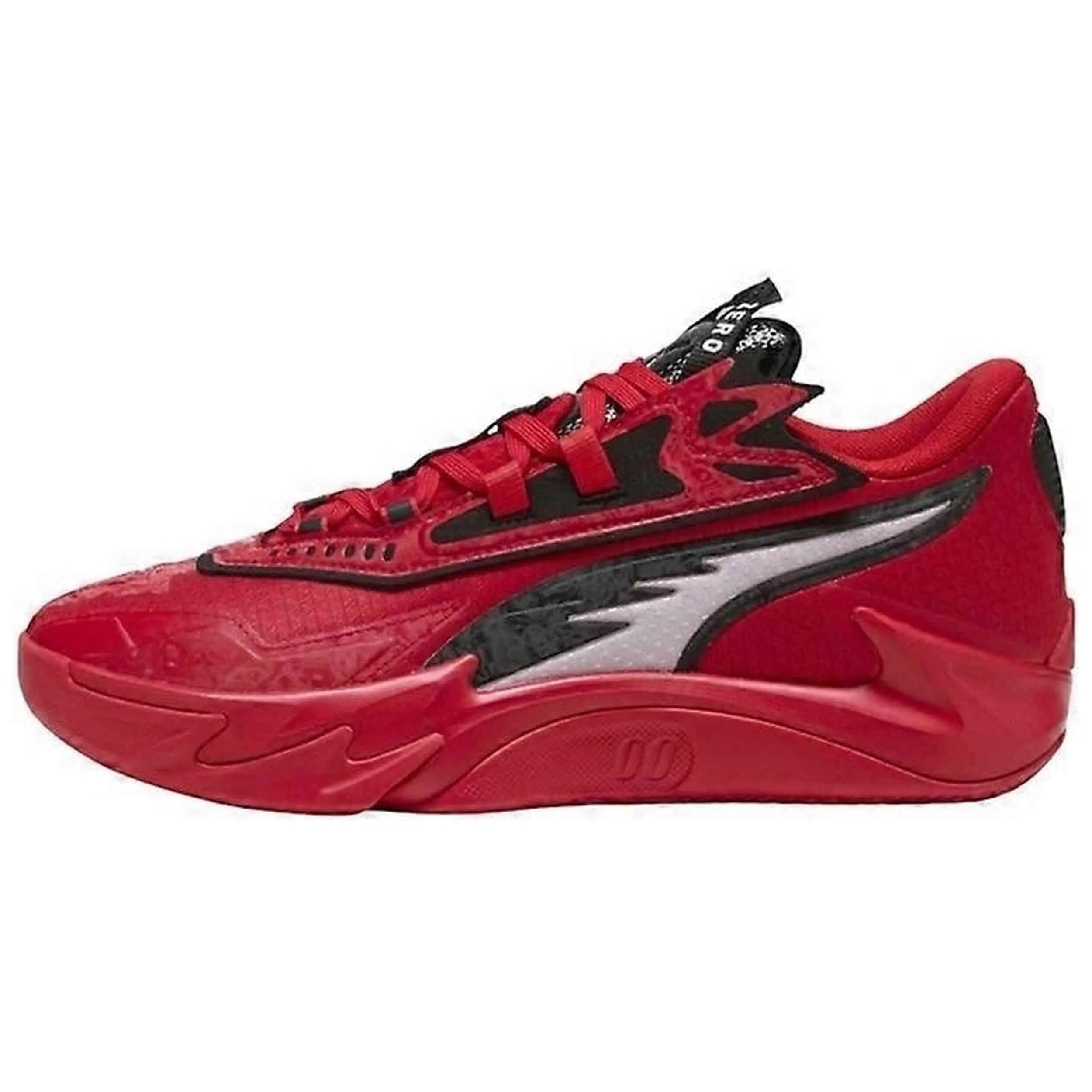 PUMA picture