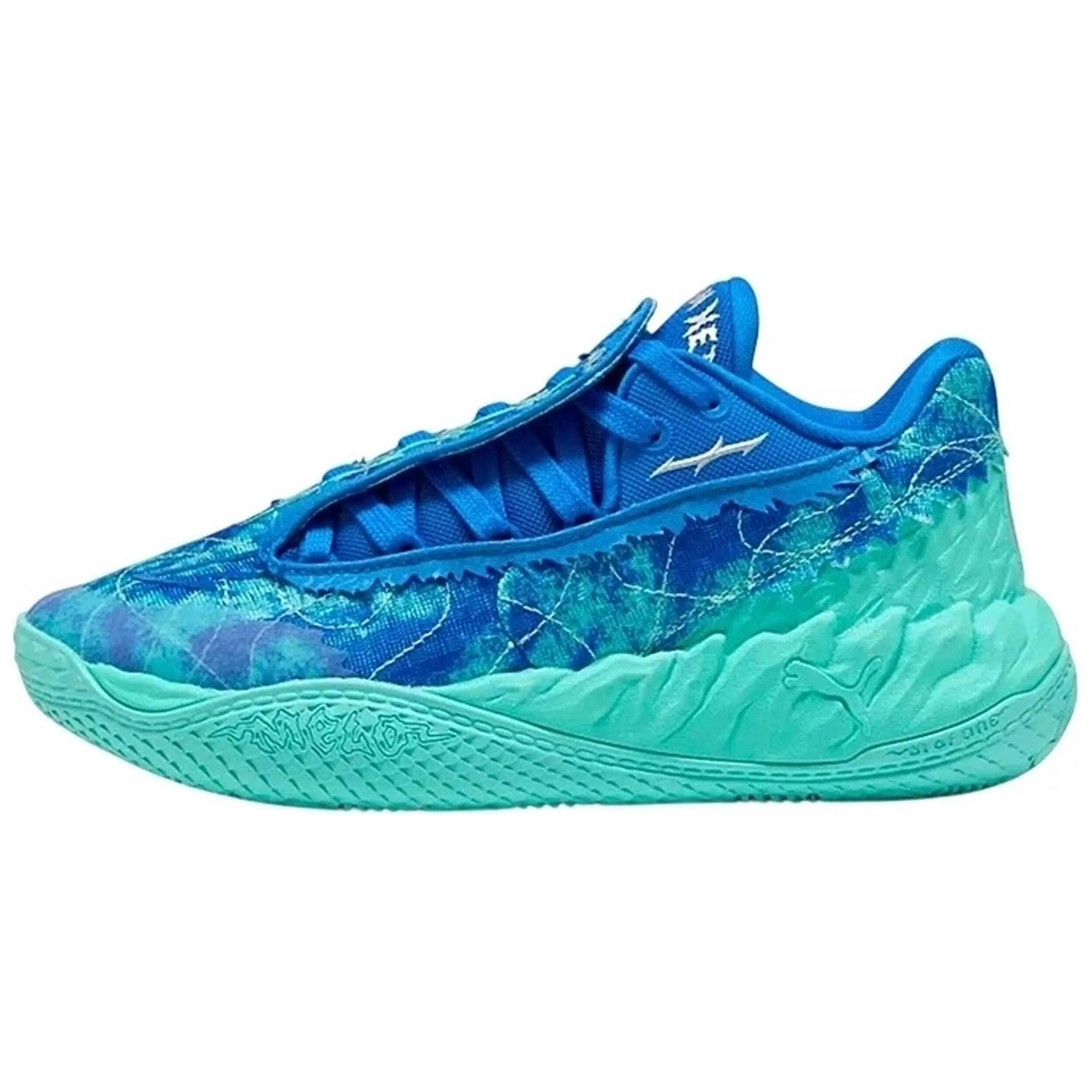 PUMA picture