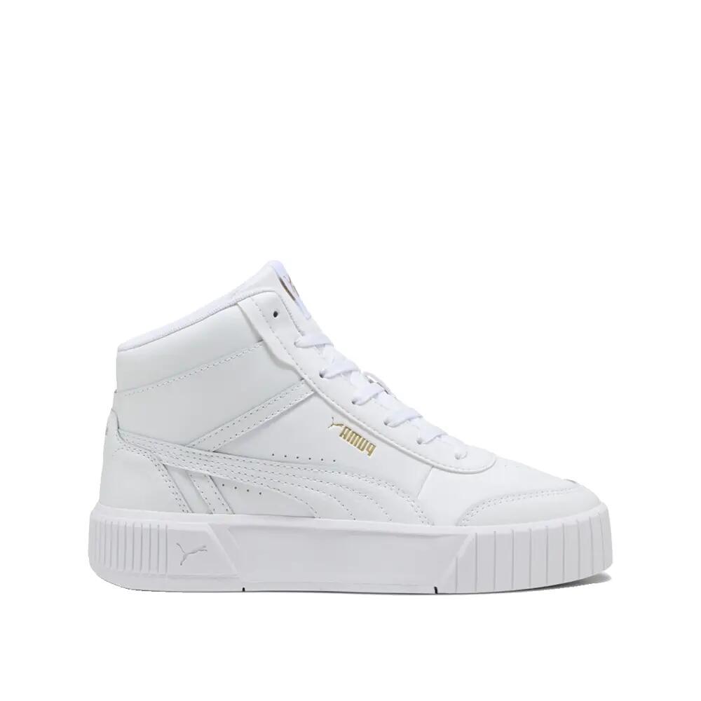 PUMA picture