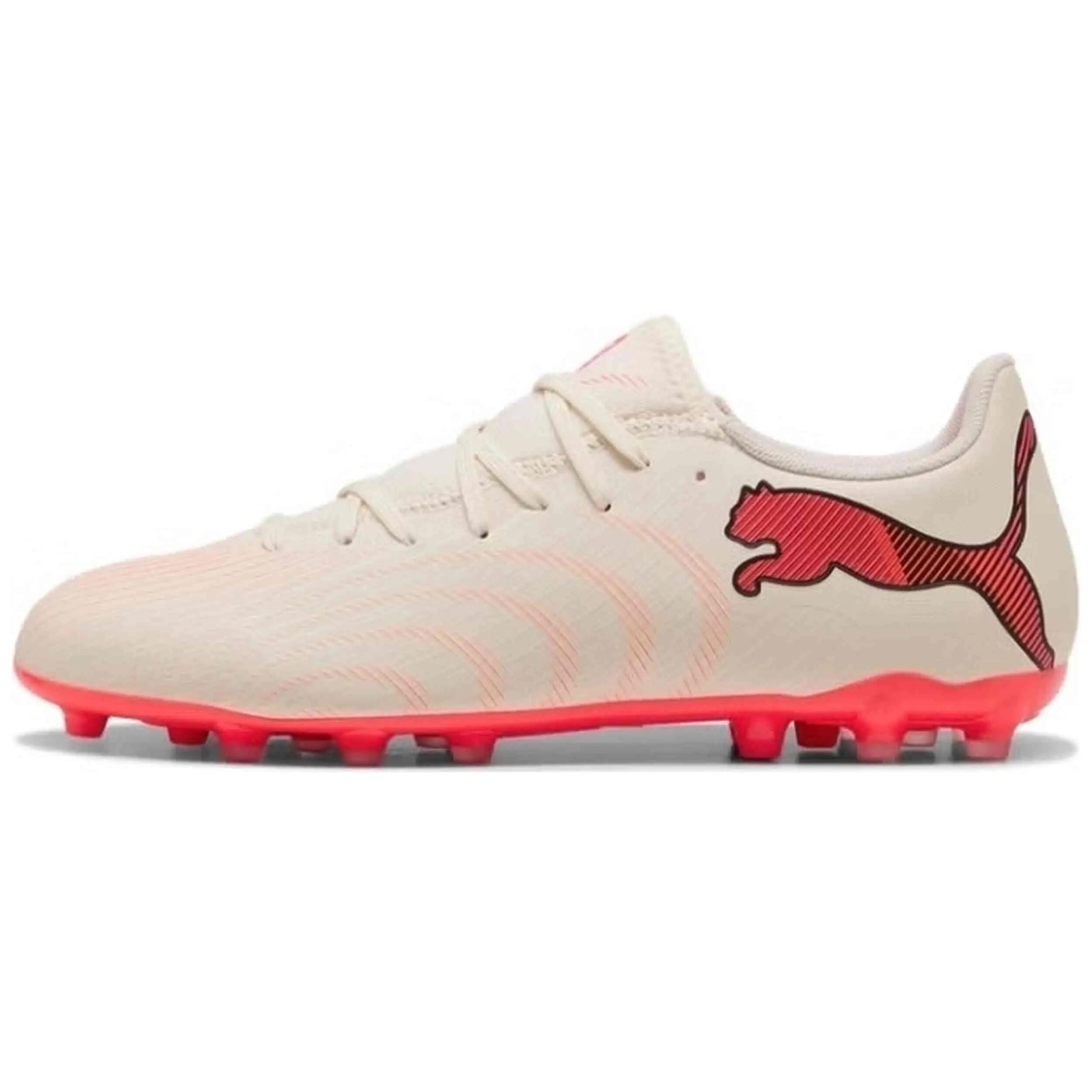 PUMA picture