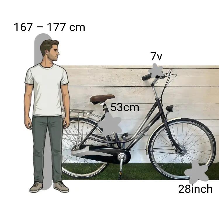 Vélo d’occasion Batavus Legato 2/4