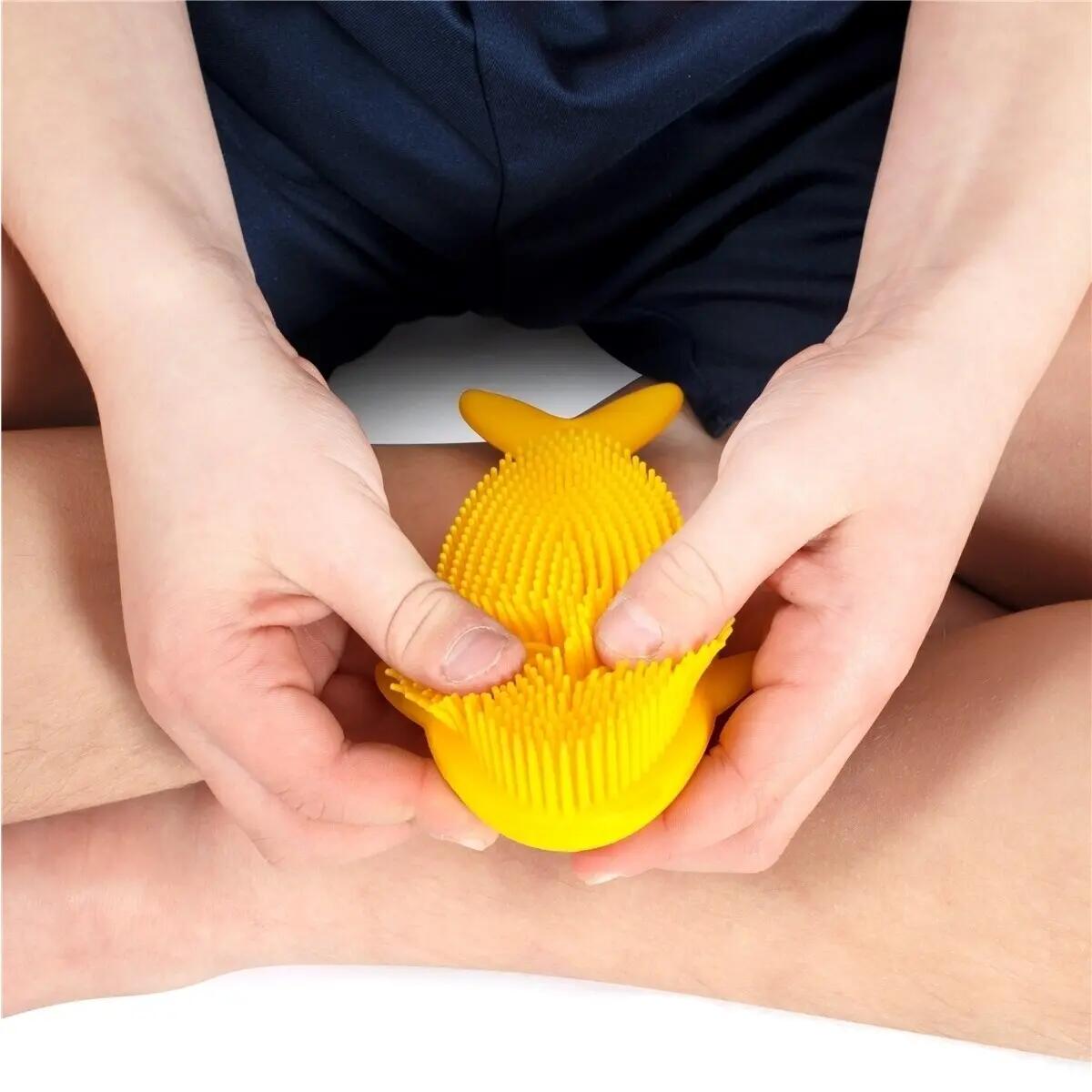 Brosse thérapeutique animal Stimove 3/3