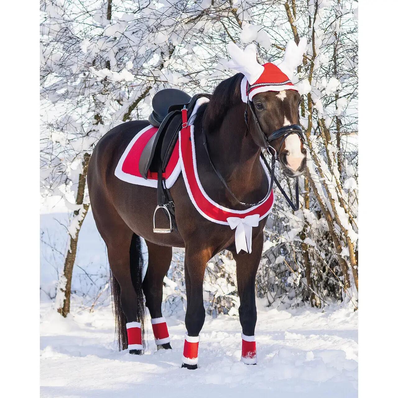Paard halsband QHP Noël 2/4