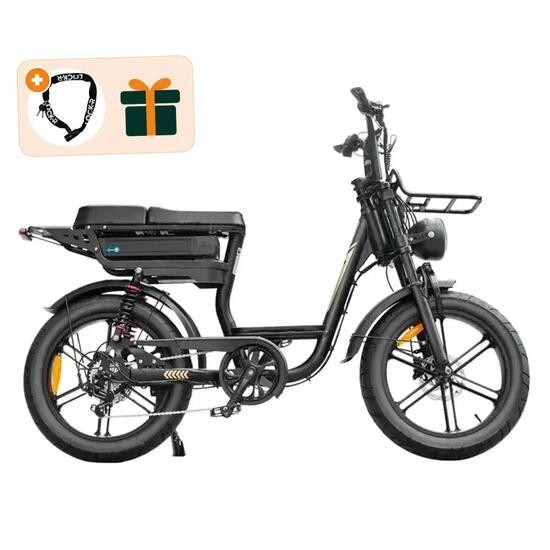 V20 Comfort - Fatbike électrique - 20 pouces - 250W - 720Wh - Noir