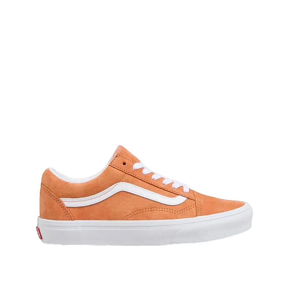 VANS picture