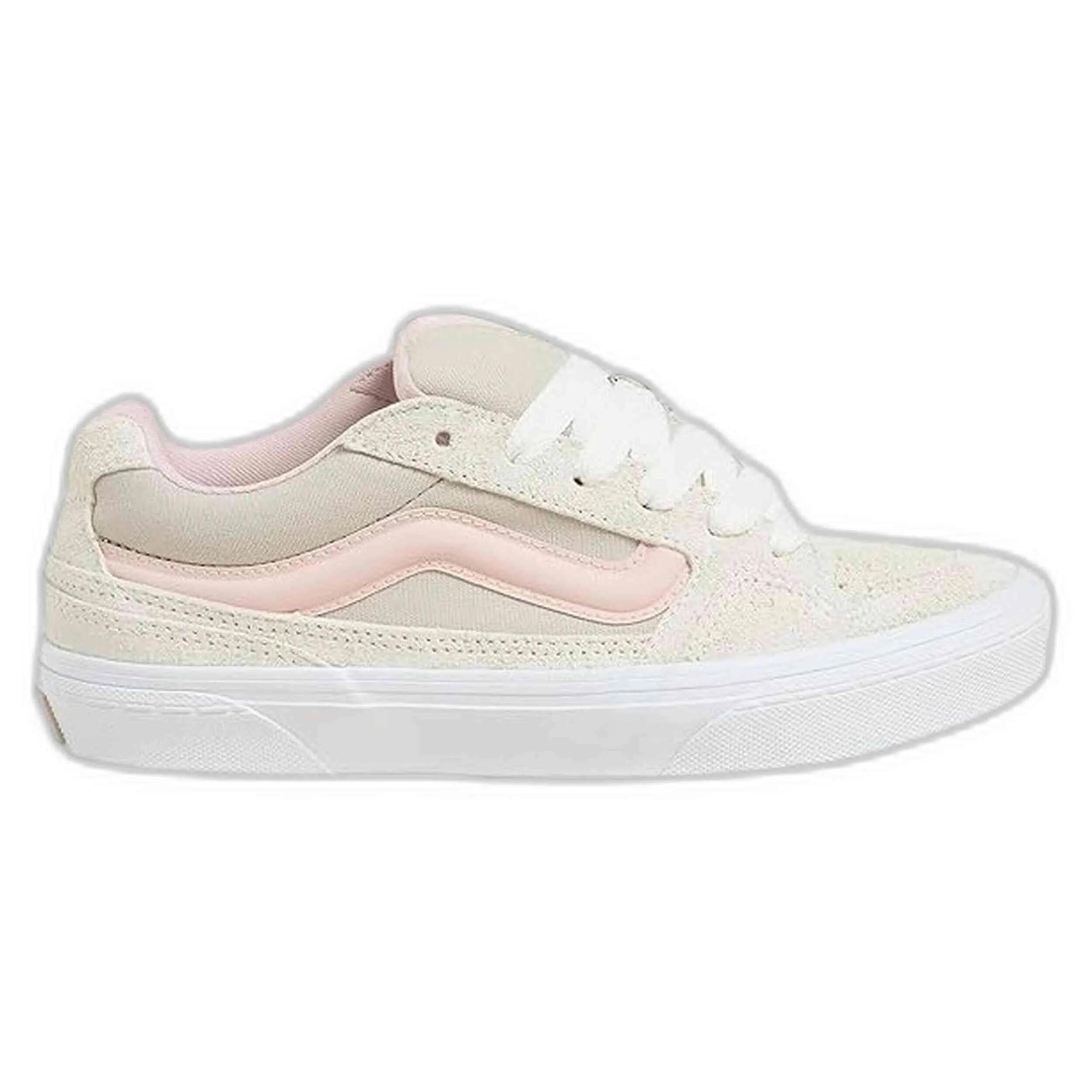 VANS picture