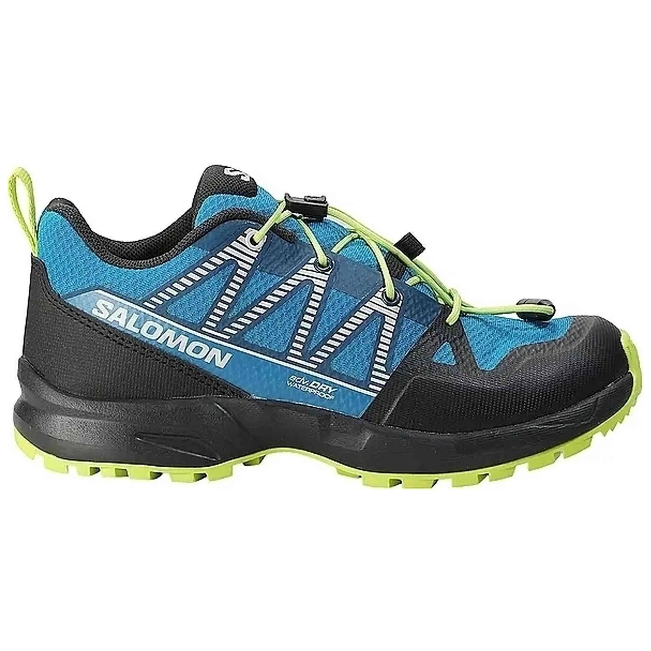 SALOMON picture