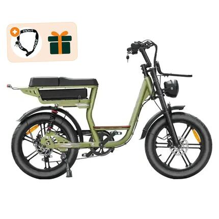 V20 Comfort - Fatbike électrique - 20 pouces - 250W - 720Wh - Vert