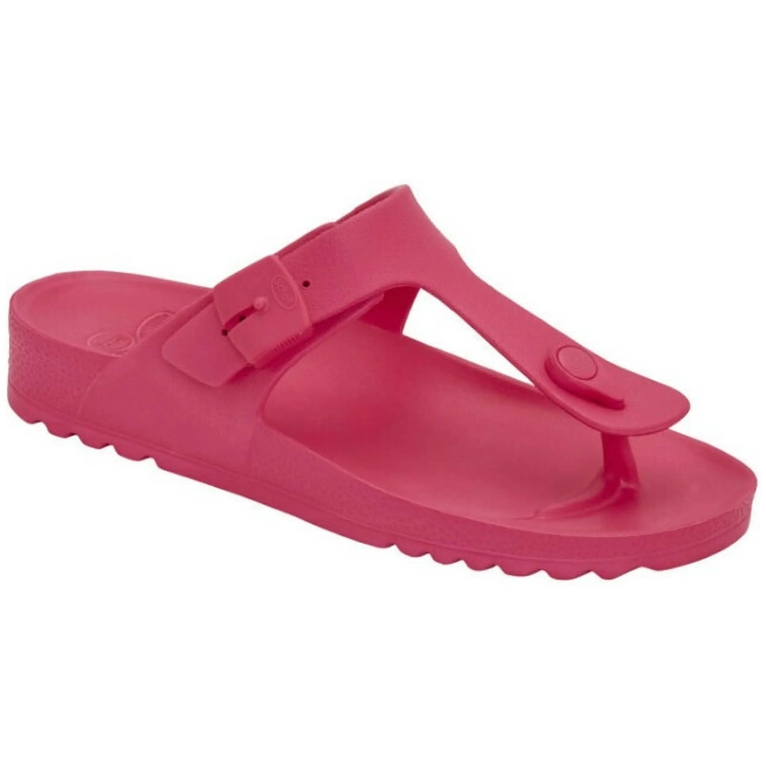 SCHOLL picture