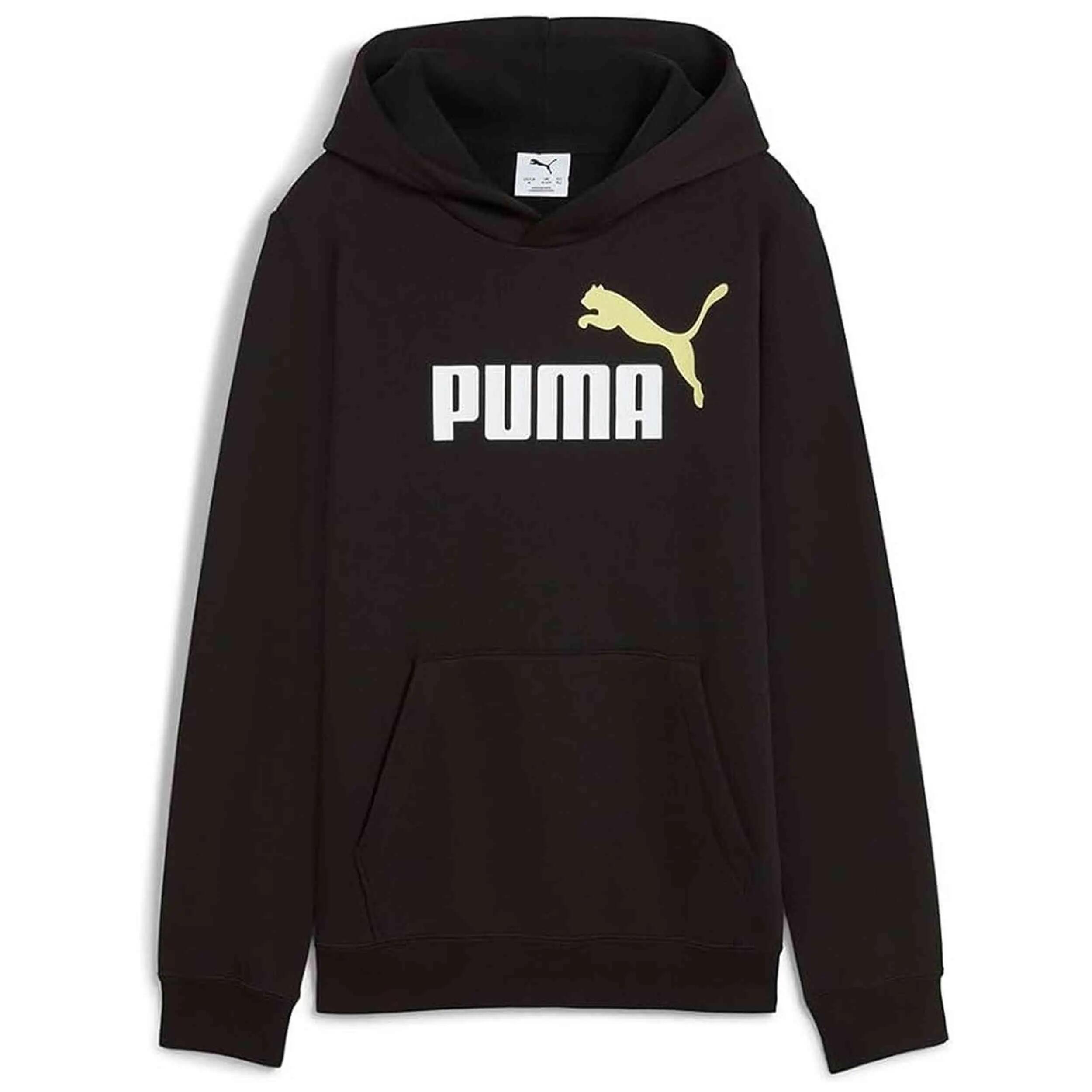 PUMA picture