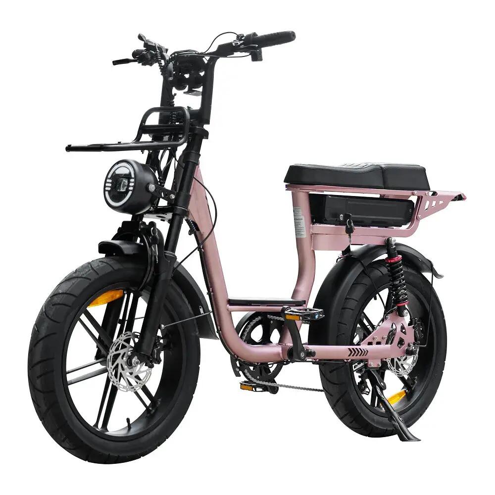 V20 Comfort - Fatbike eléctrica - 20 pulgadas - 250W - 720Wh - Oro rosa 3/3
