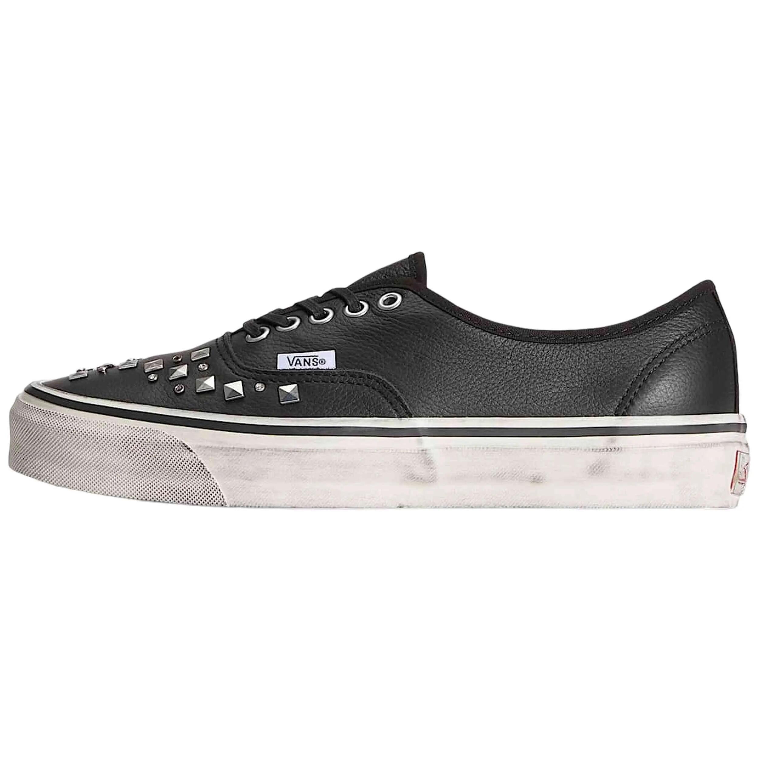 VANS picture