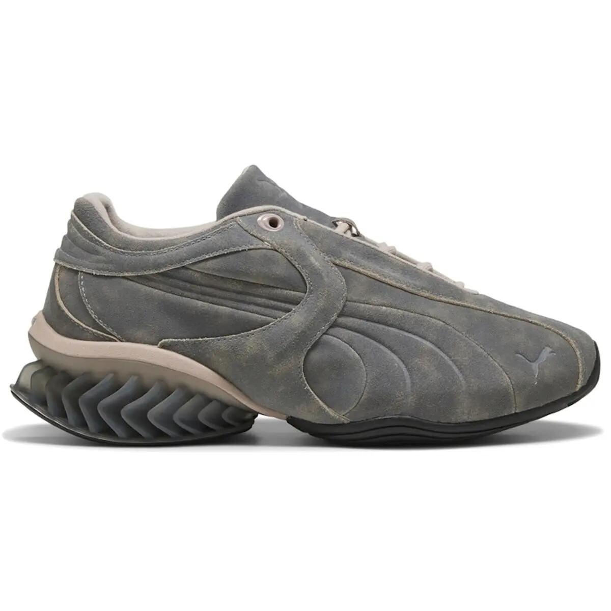 PUMA picture