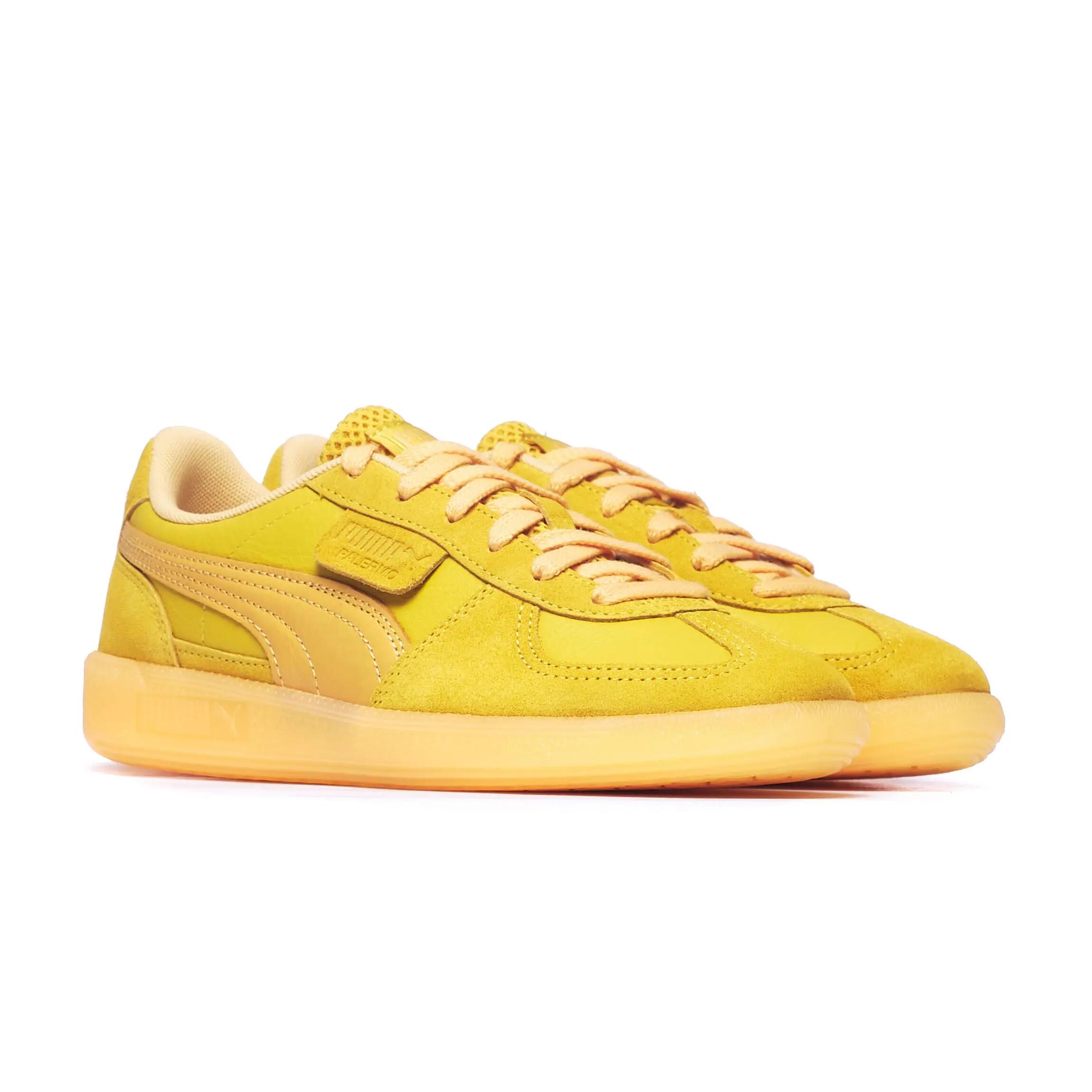 PUMA picture