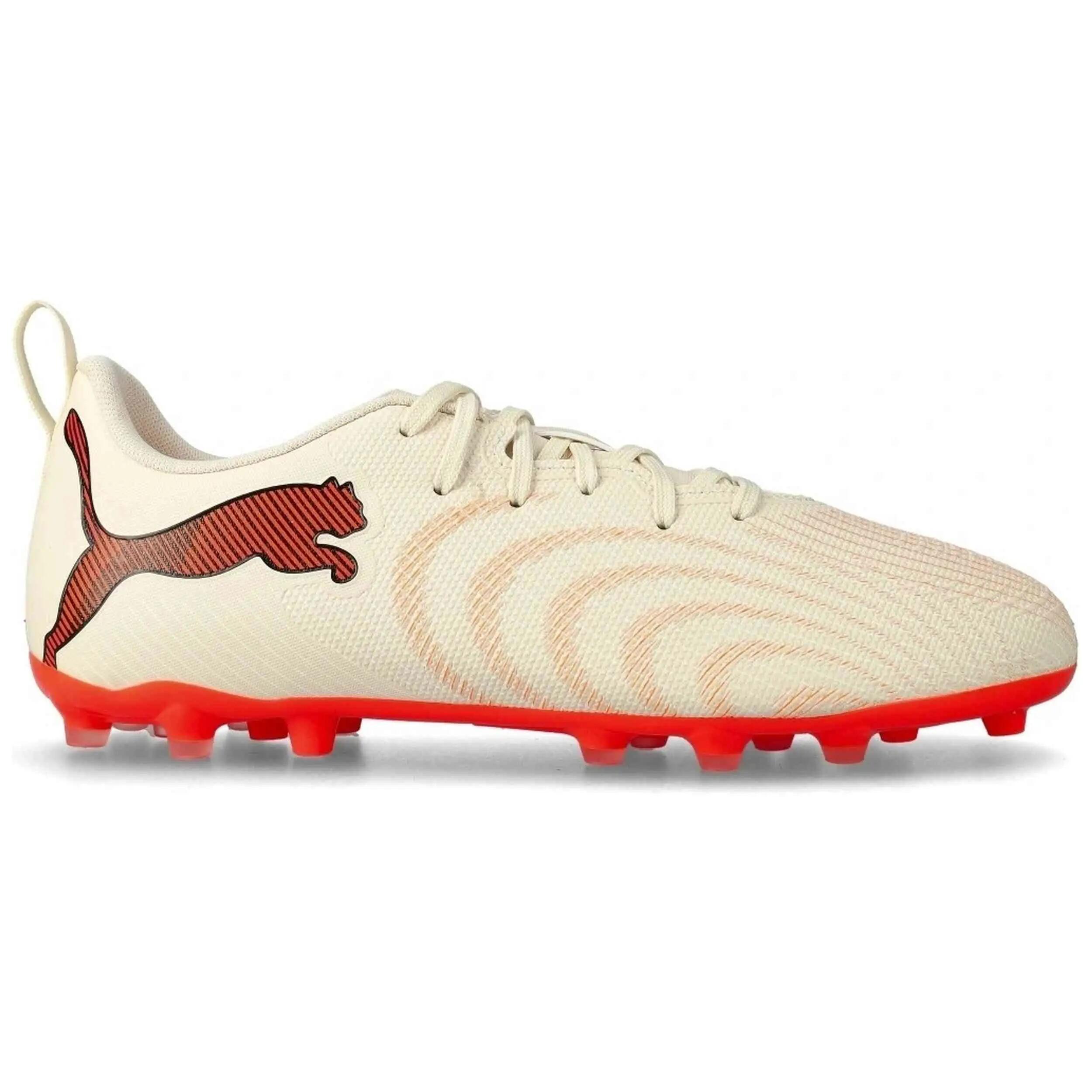 PUMA picture
