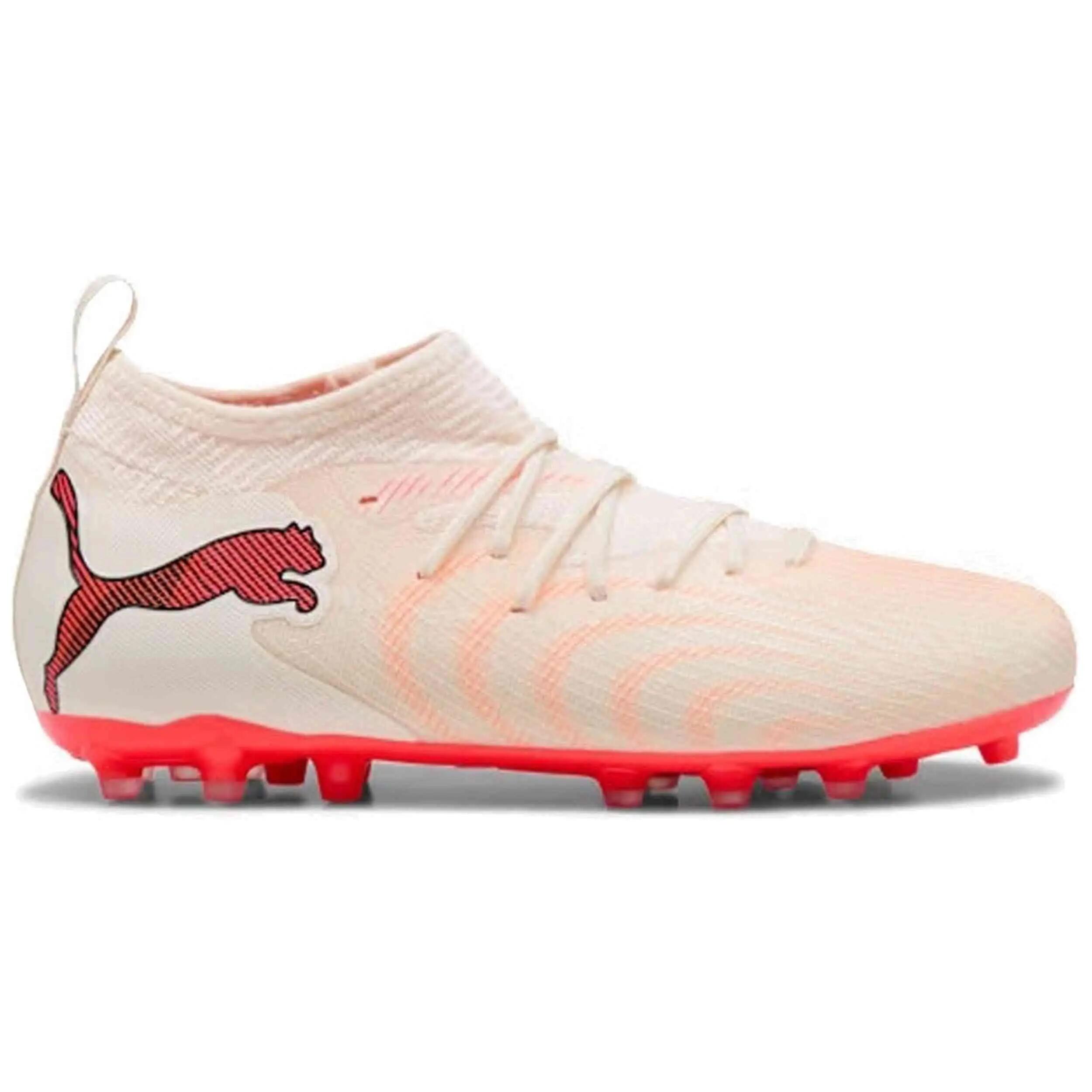 PUMA picture