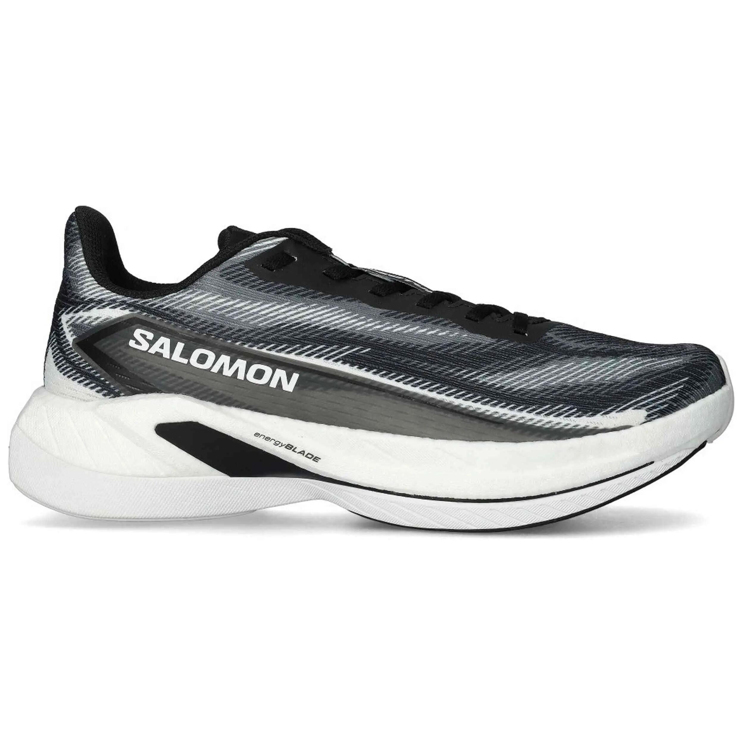 SALOMON picture