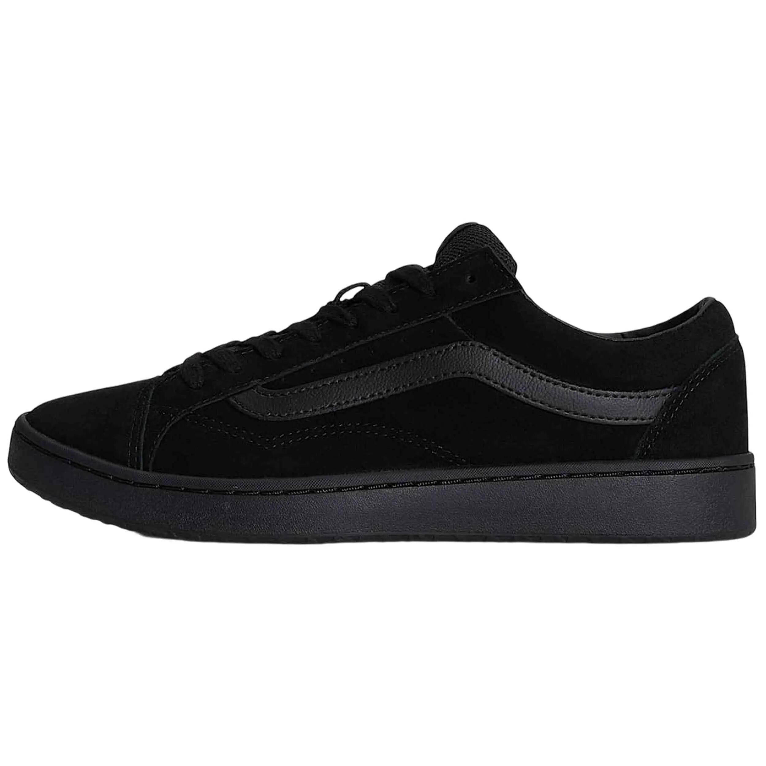 VANS picture