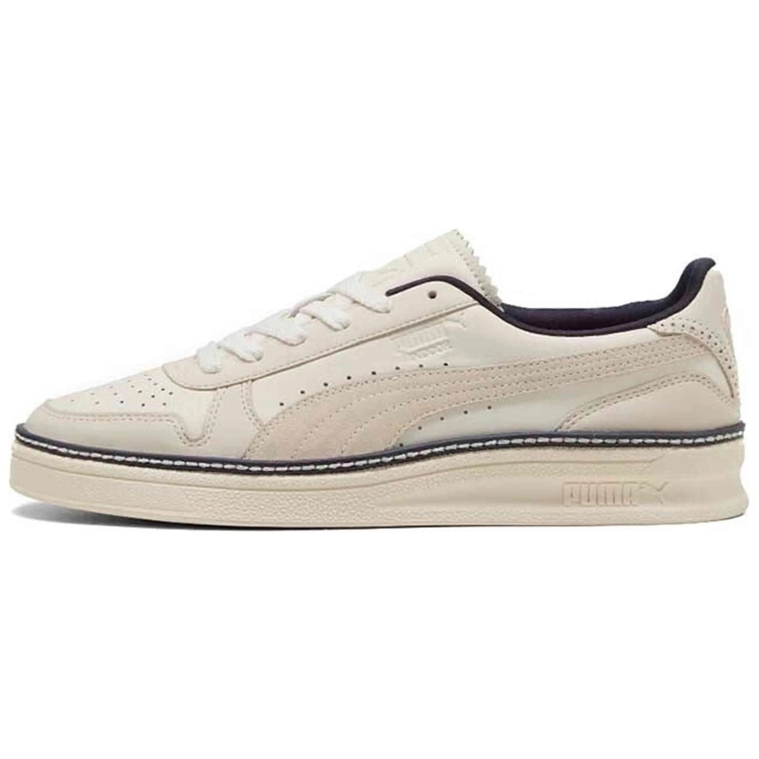 PUMA picture