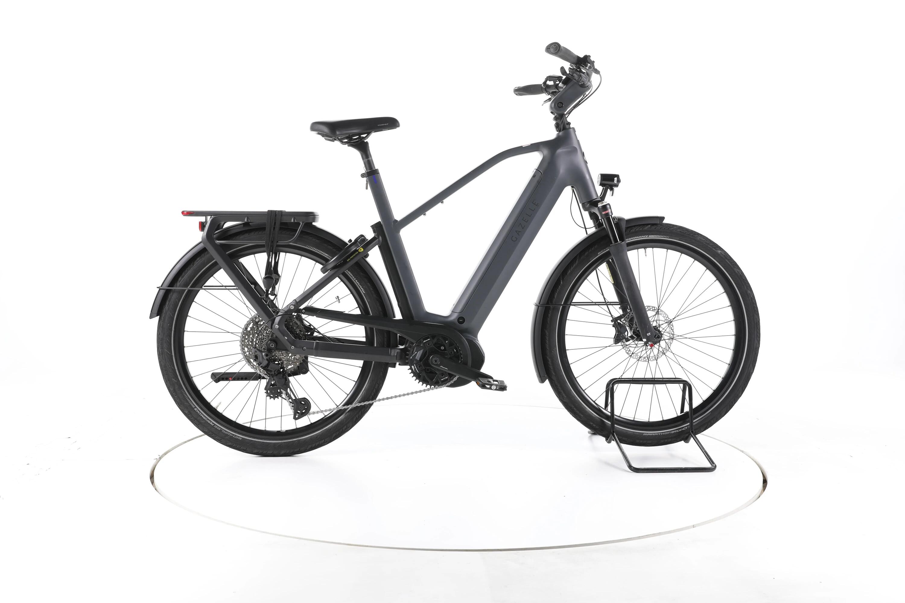 GAZELLE picture