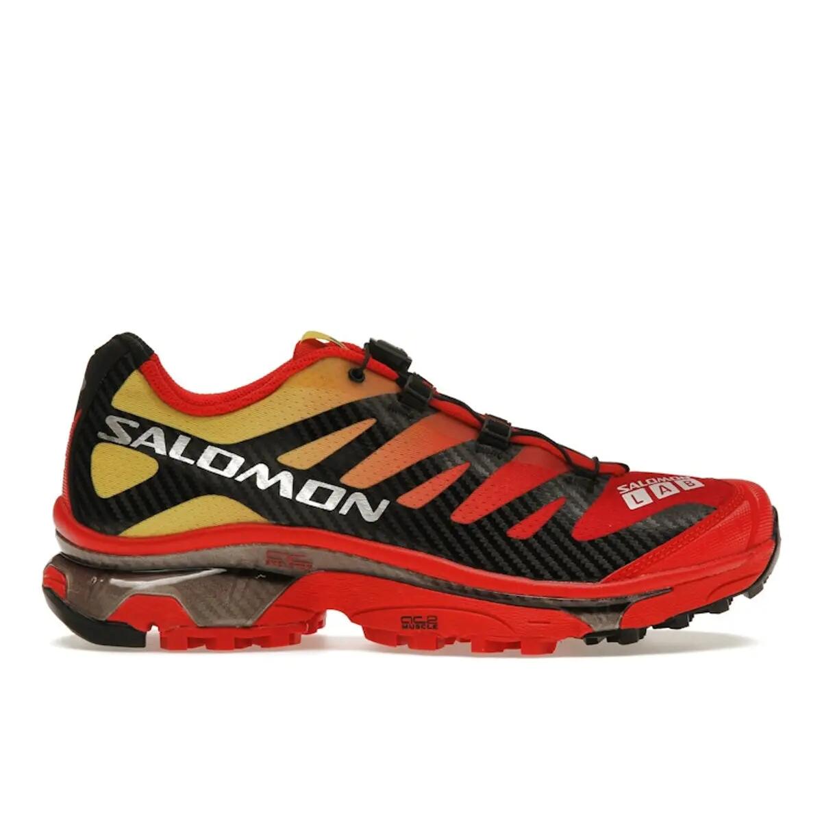 SALOMON picture