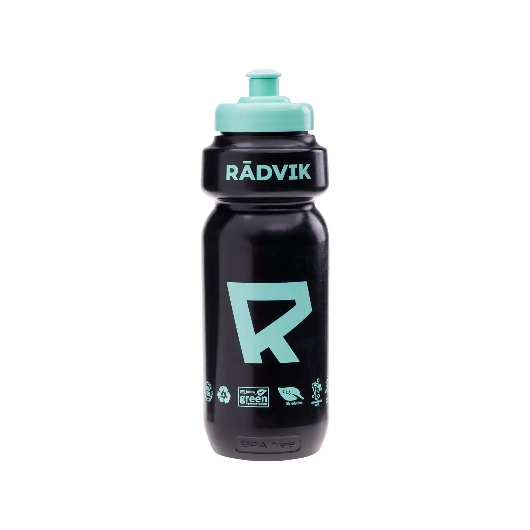 RADVIK picture