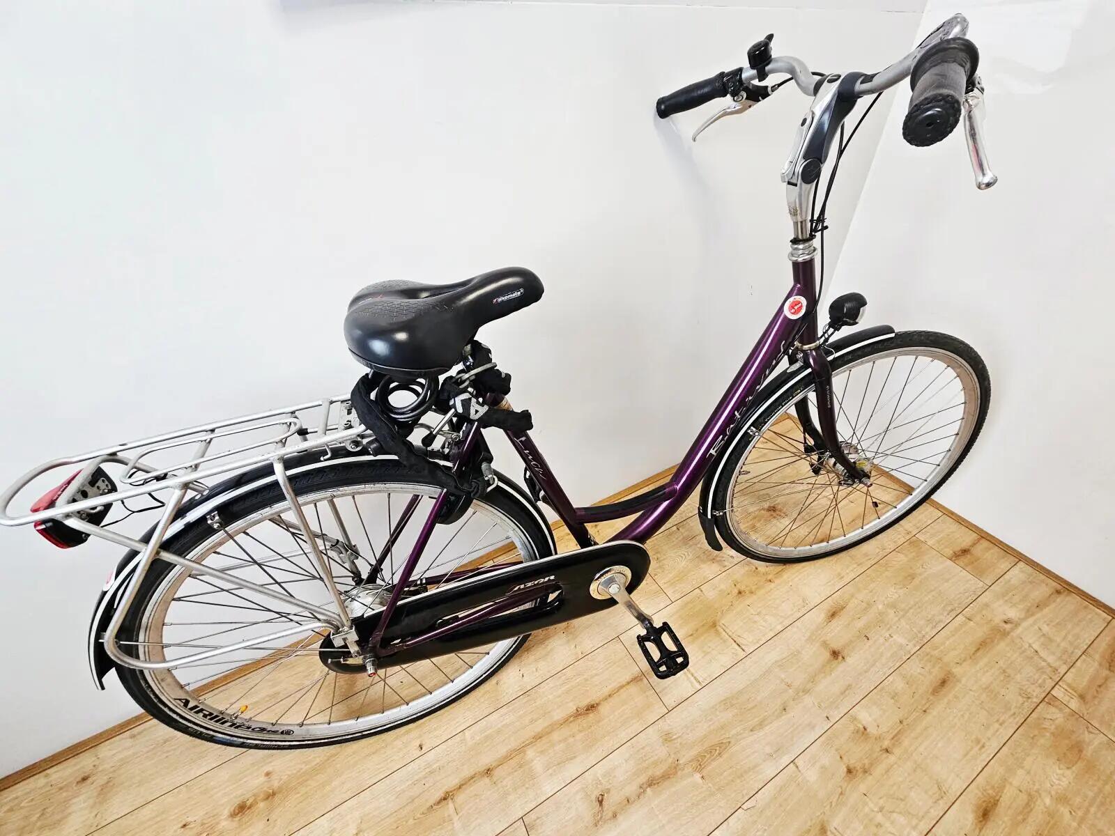 BATAVUS picture