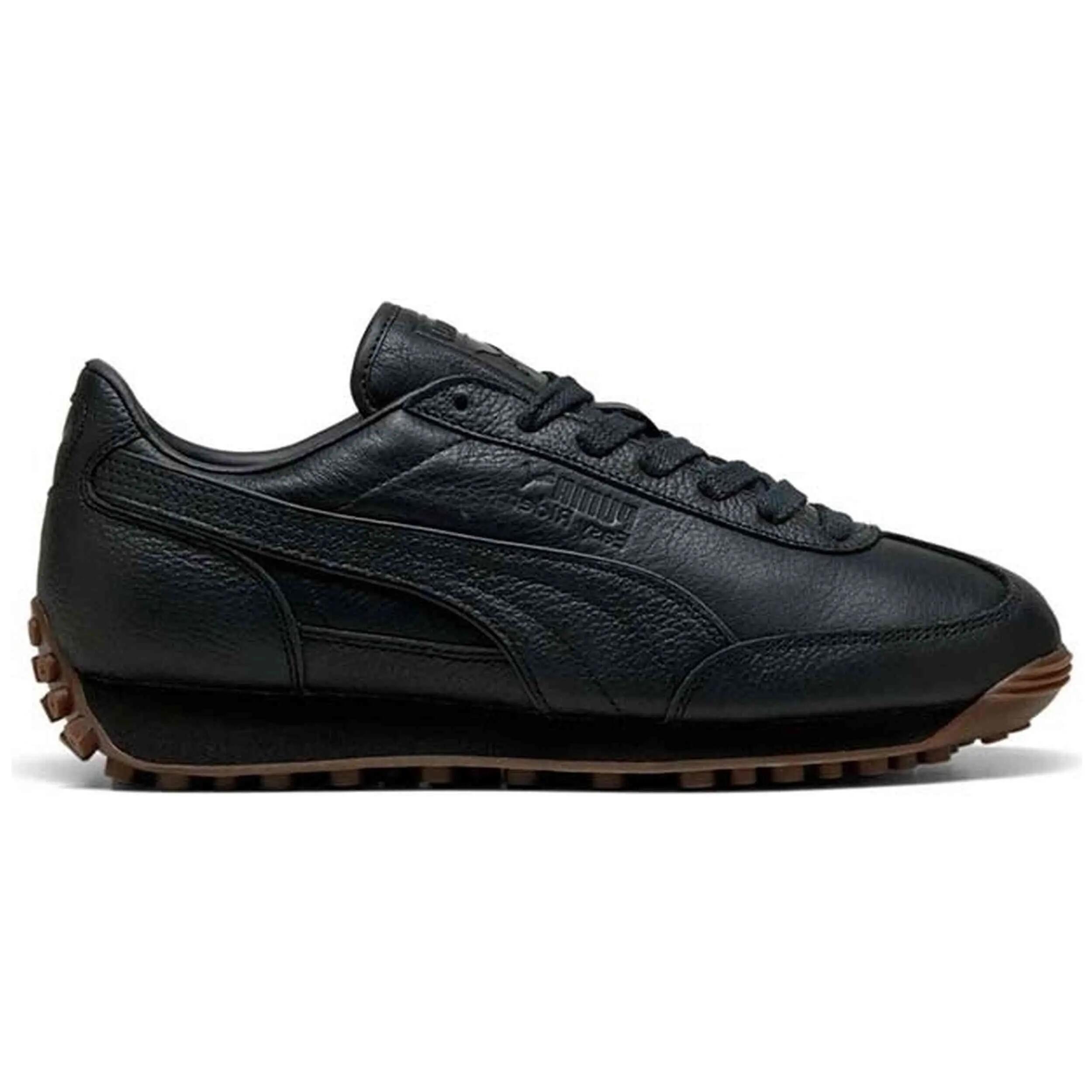 PUMA picture