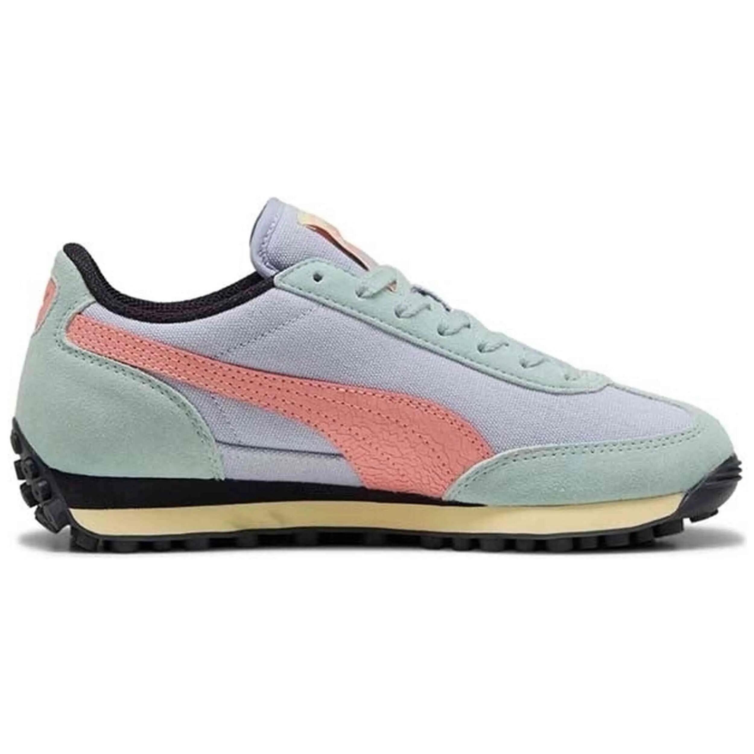 PUMA picture