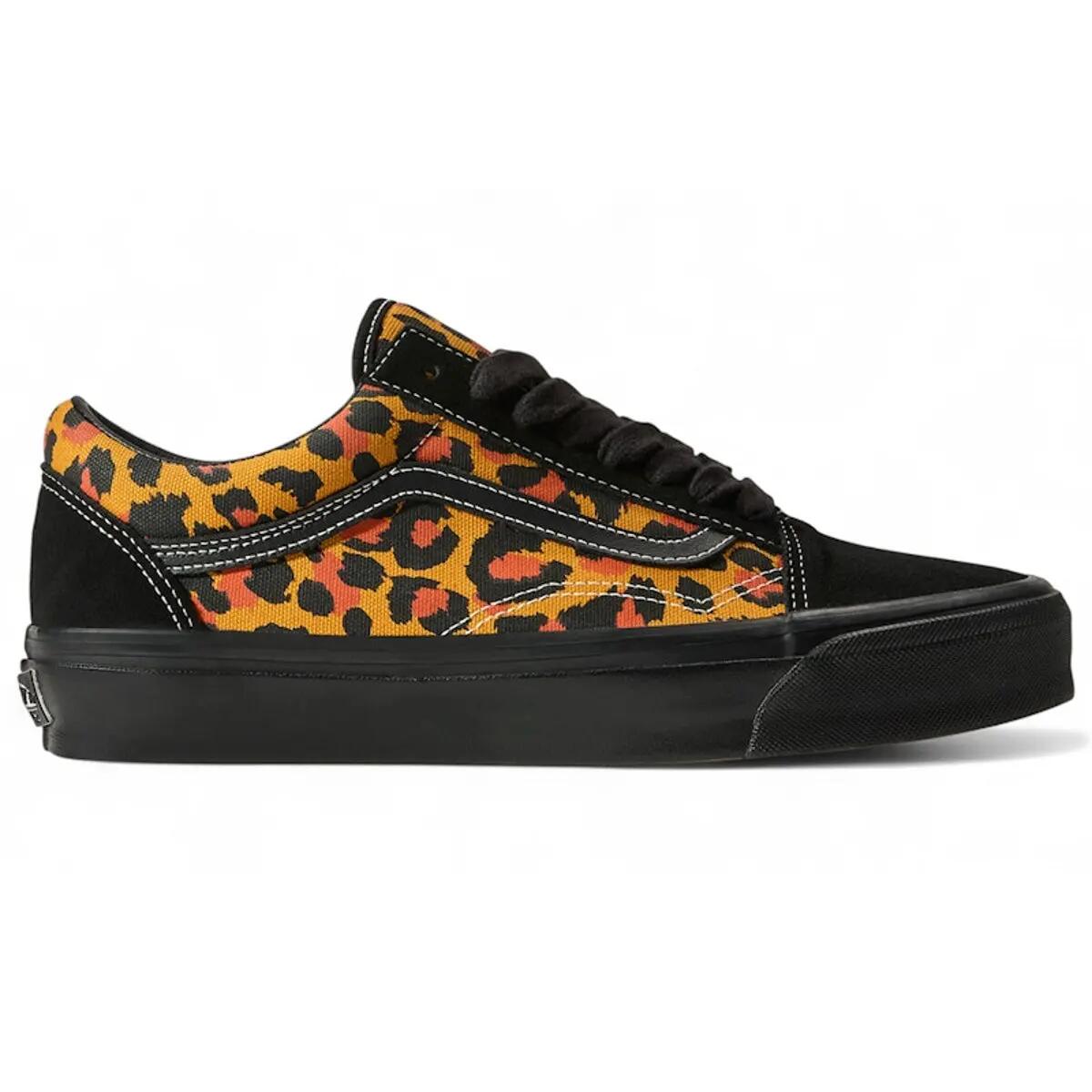 VANS picture