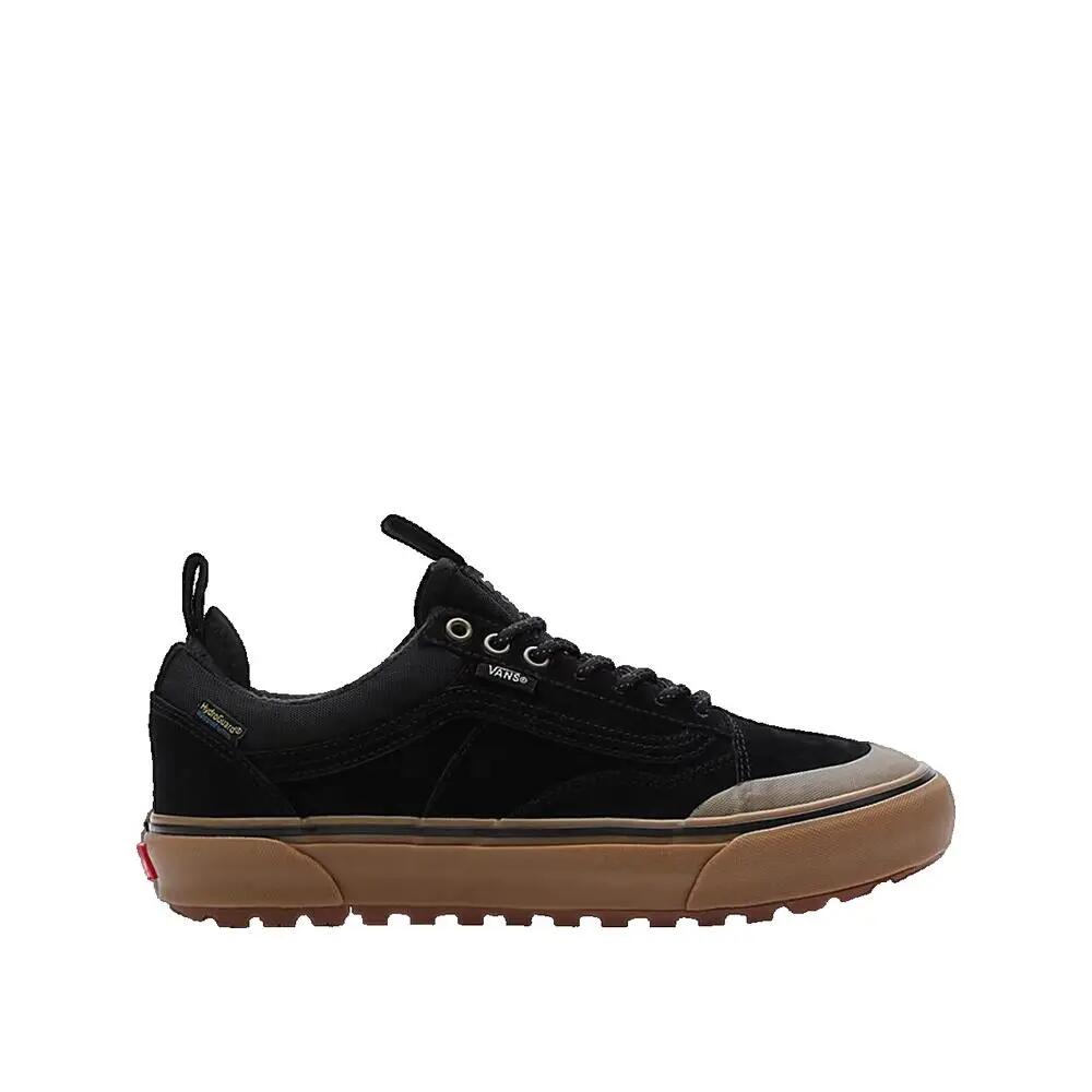 VANS picture