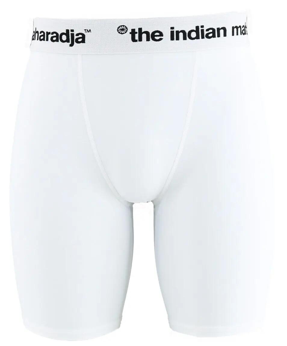 THE INDIAN MAHARADJA picture
