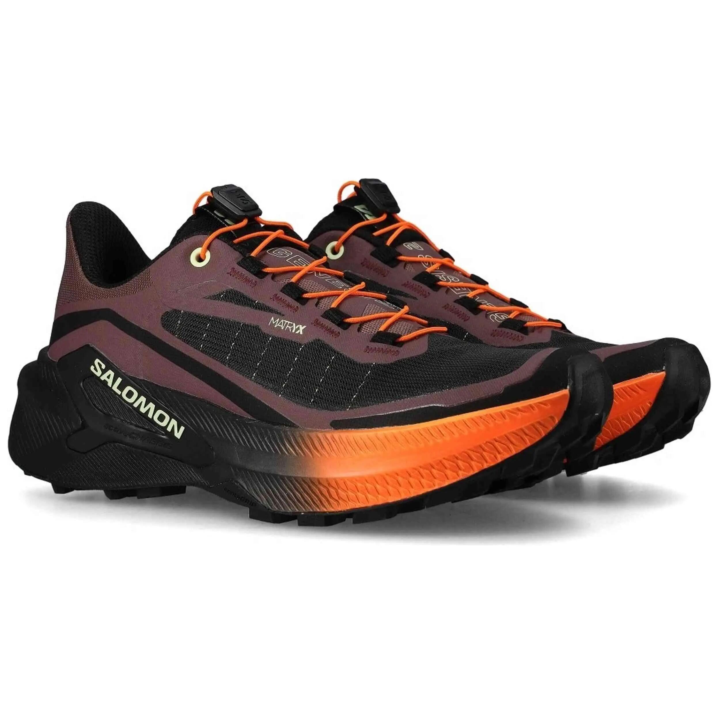 SALOMON picture