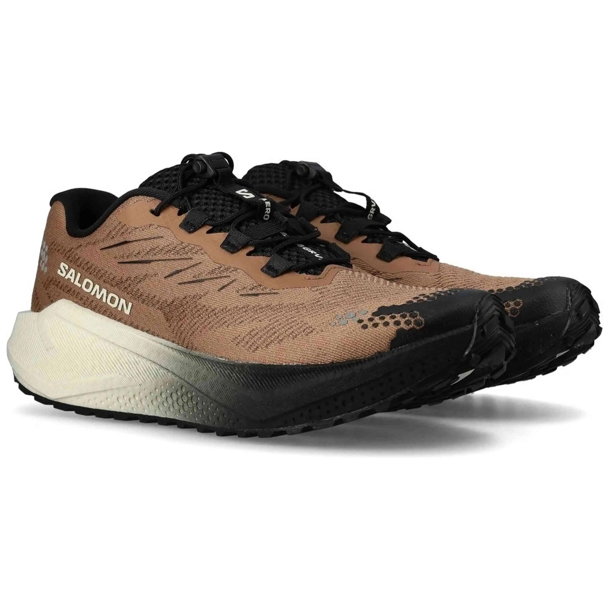 SALOMON picture