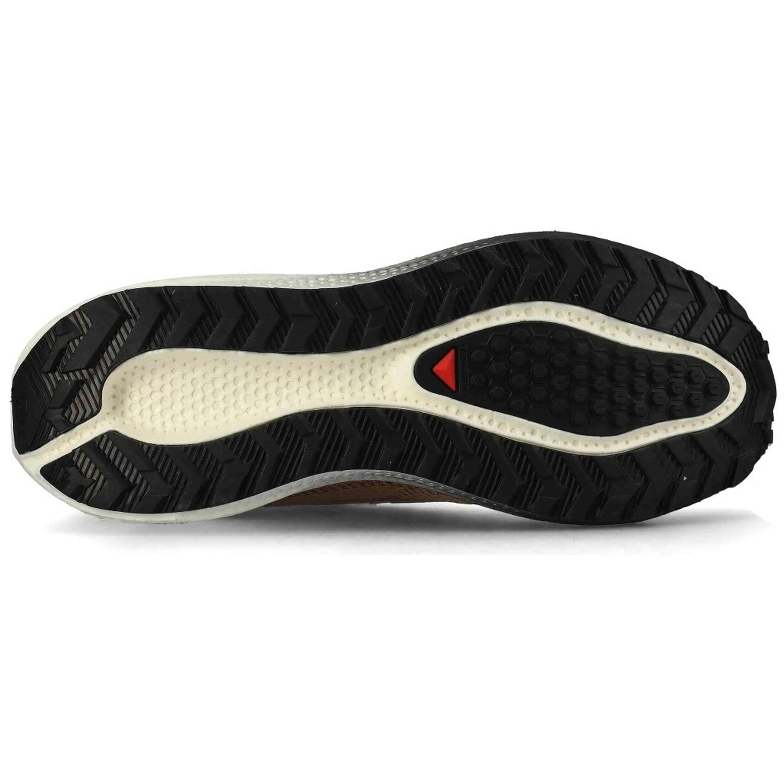 Sapatilhas Salomon modelo Aero Blaze 4 Grvl "Burro/Vanilla Ice/Black" para homem 4/5