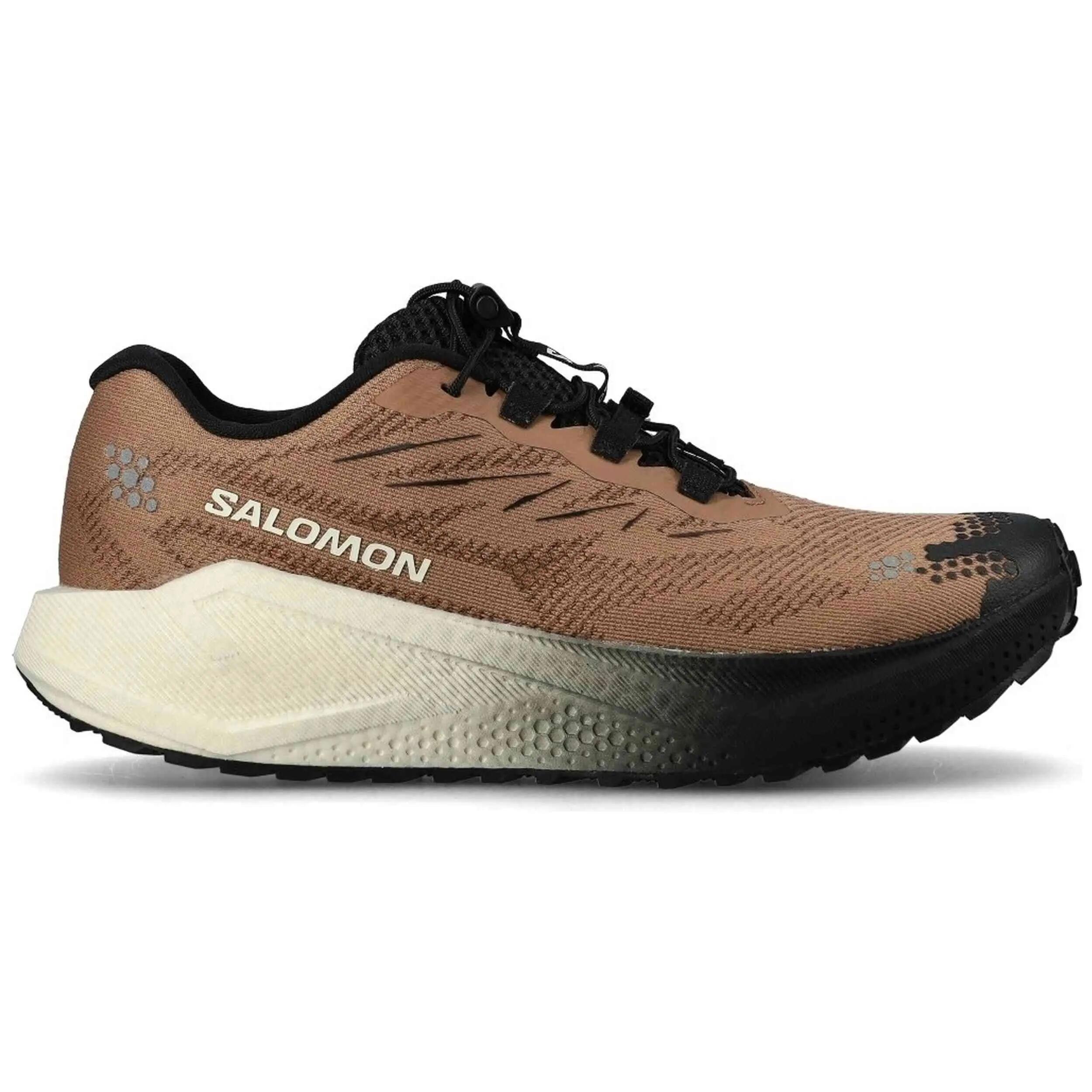Sapatilhas Salomon modelo Aero Blaze 4 Grvl "Burro/Vanilla Ice/Black" para homem 2/5