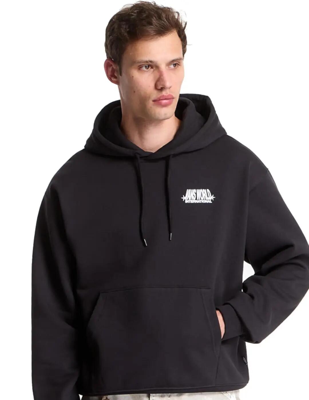 VANS picture