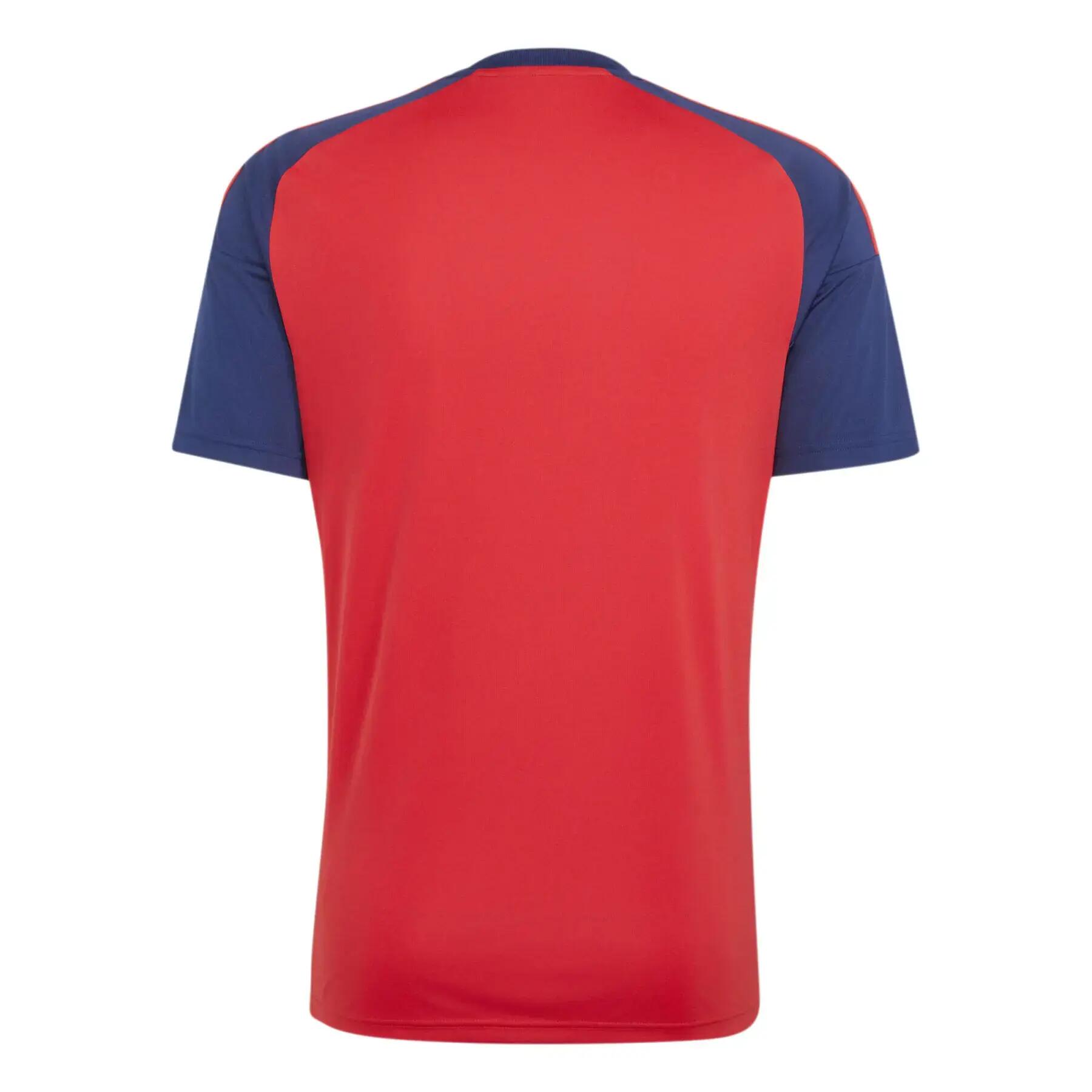 Maillot Domicile Fan Espagne Coupe du Monde 2026 2/7