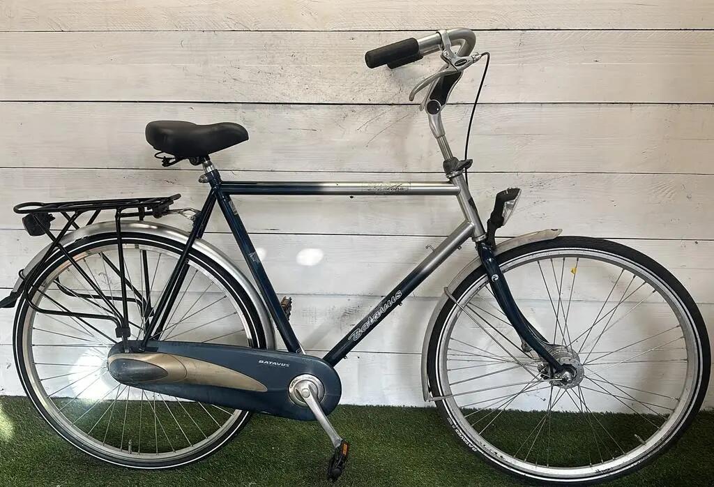 BATAVUS picture