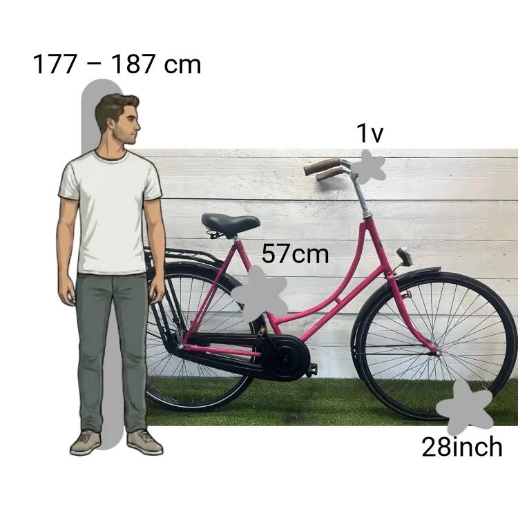 Vélo d’occasion BSP 2/4