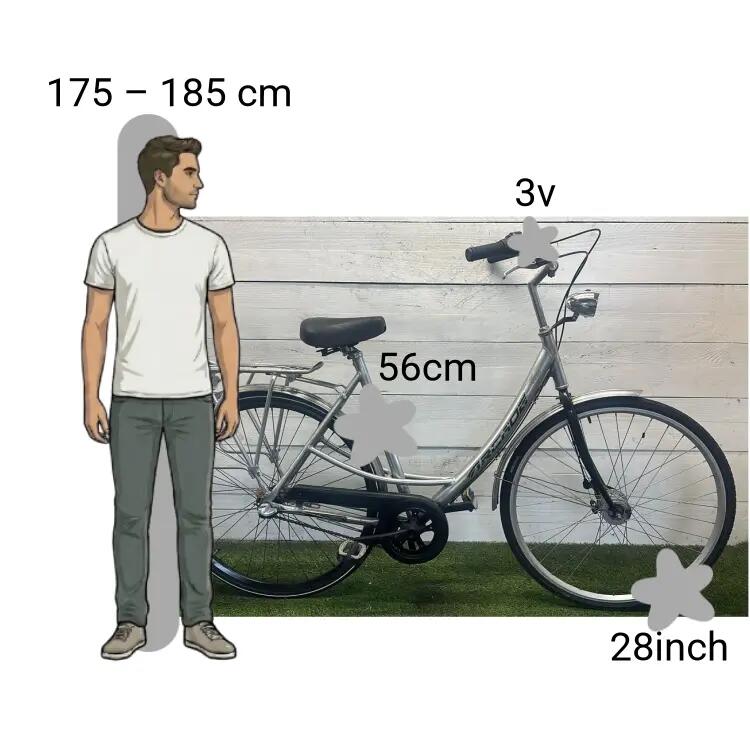 Bicicletta usata Arcade 2/4