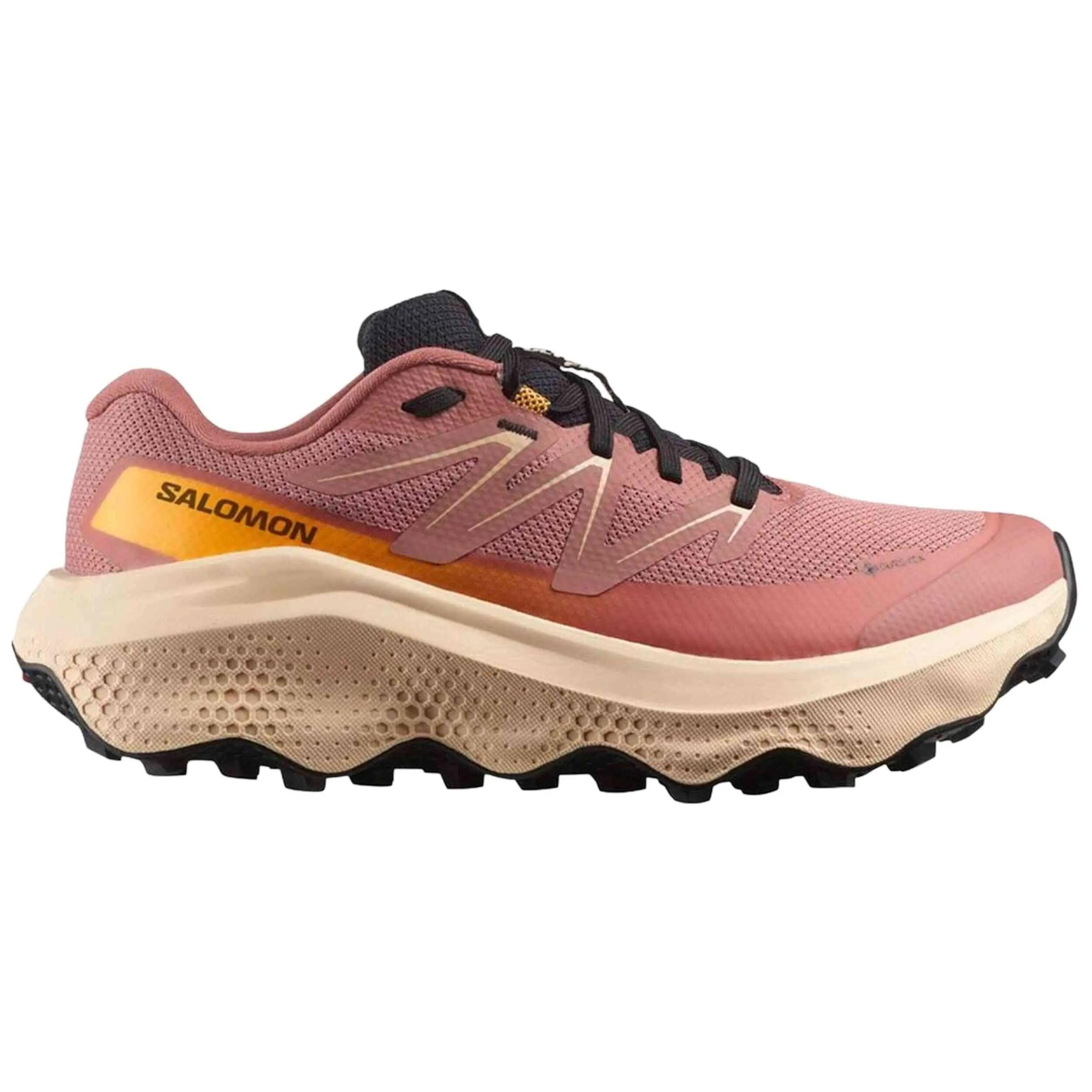 SALOMON picture