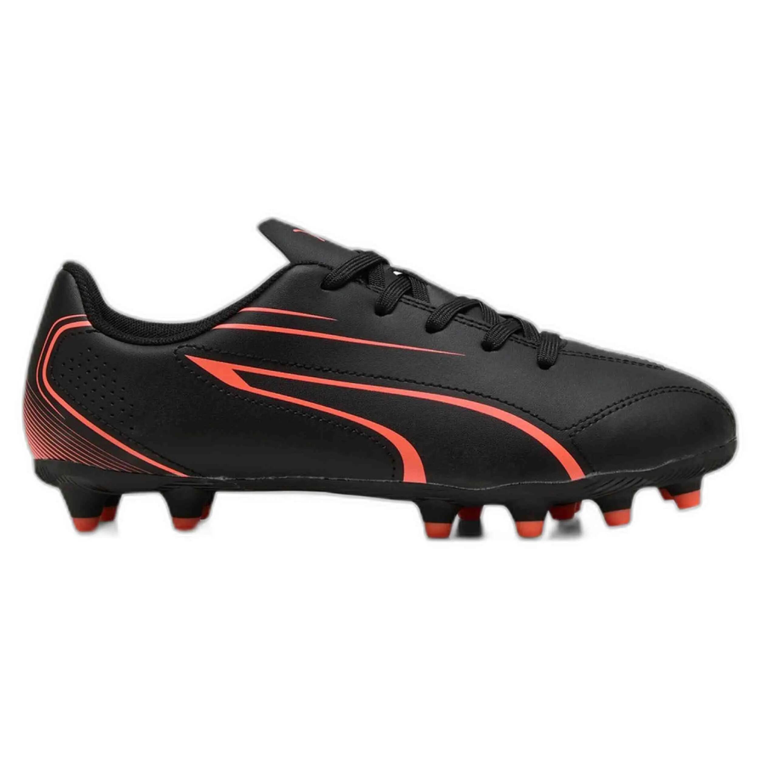 PUMA picture