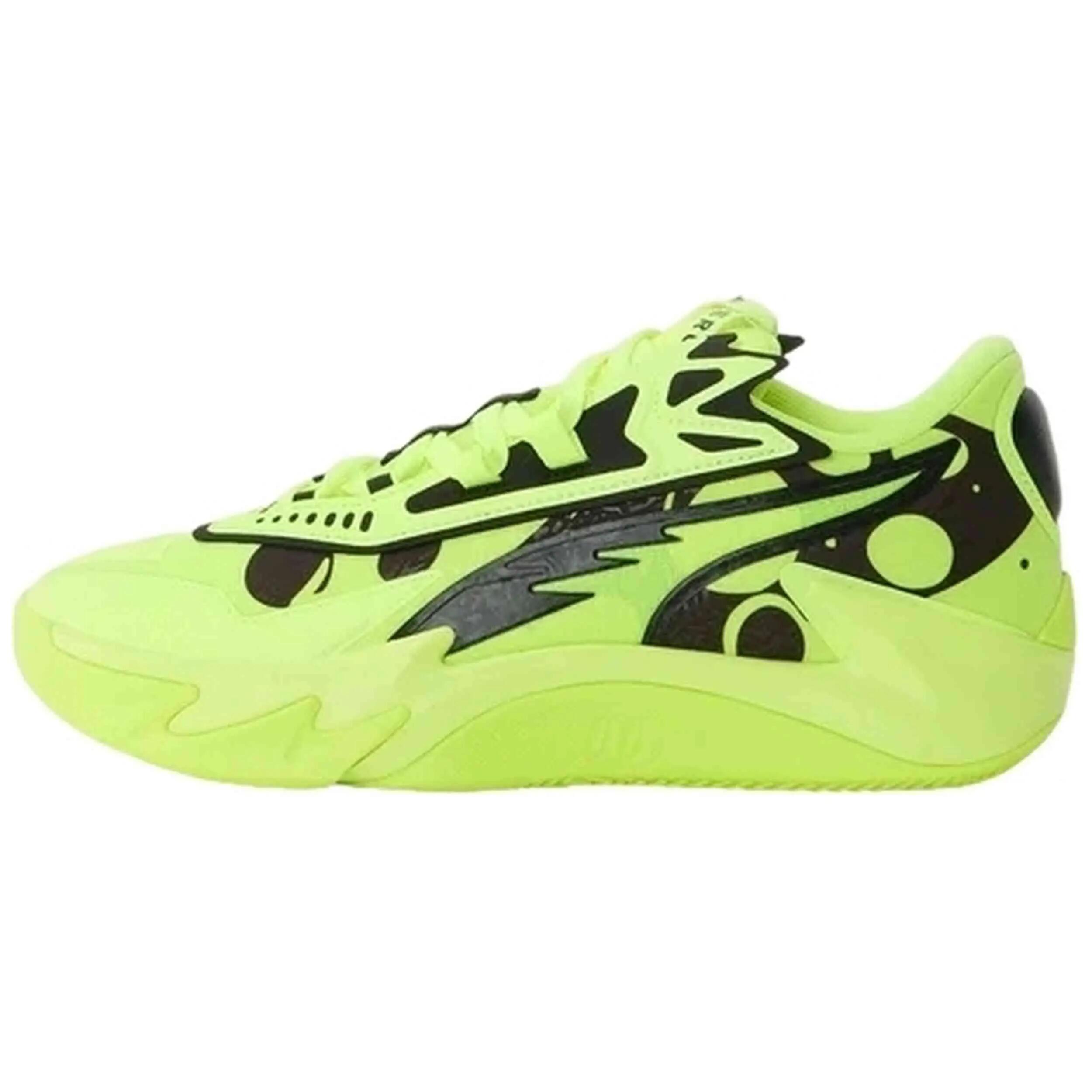 PUMA picture
