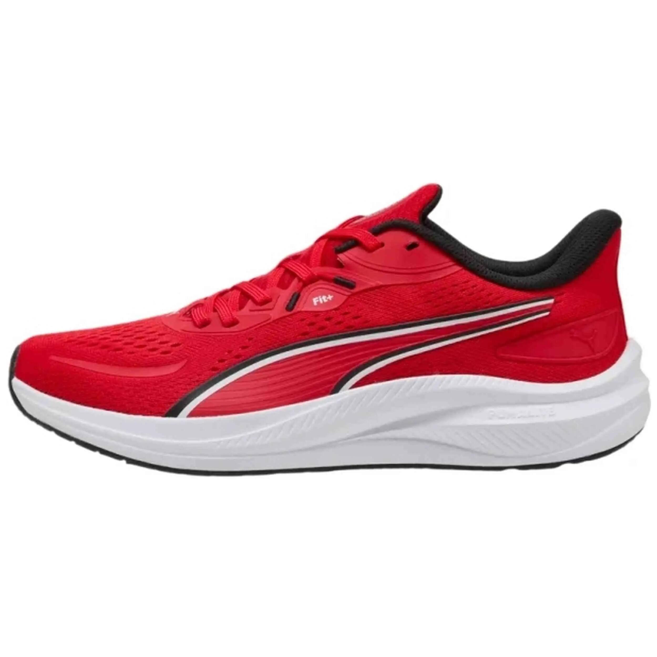 PUMA picture