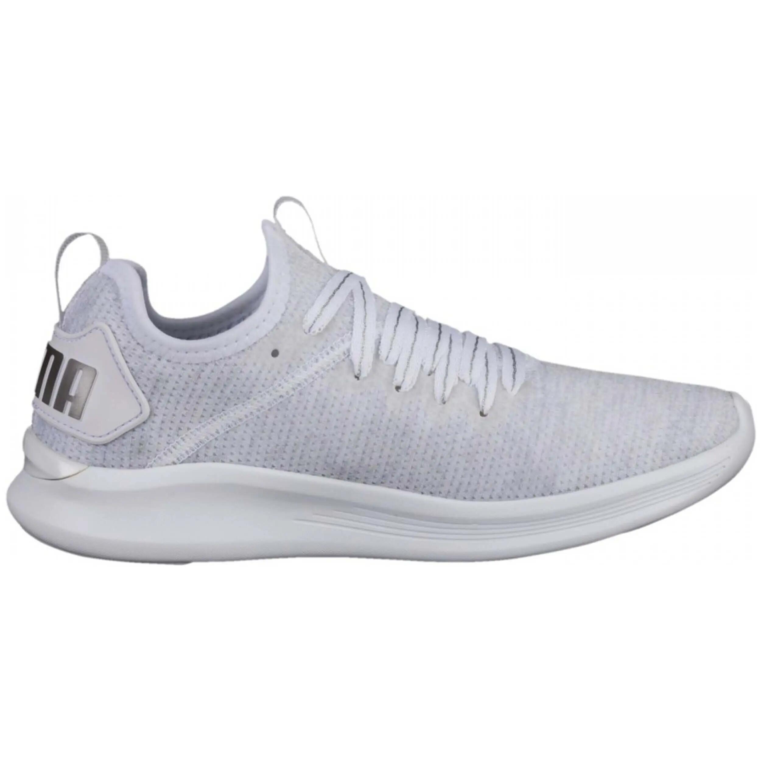 PUMA picture