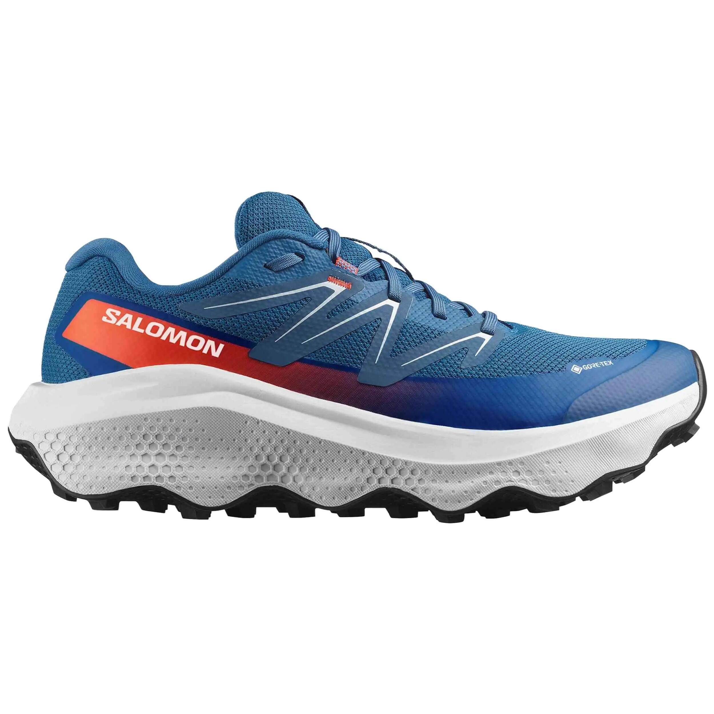 SALOMON picture