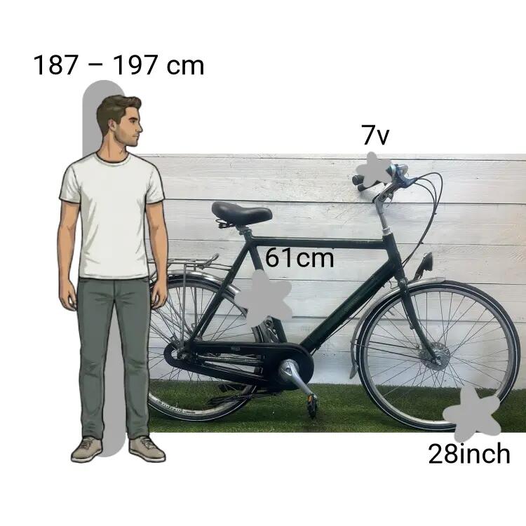 Vélo d’occasion Koga Miyata Silver Ace 2/4